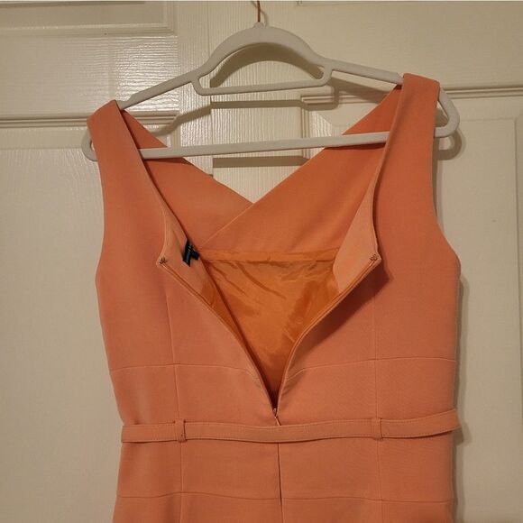 Isabella DeMarco light peach sleeveless belted midi dress - Picture 10 of 11